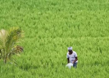 कृषि और विपणन पर राष्ट्रीय नीति ढांचा: ई-नाम से किसानों की बढ़ी आमदनी और बाजार पहुंच
