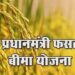 इन राज्यों में खरीफ फसलों के लिए पीएमएफबीवाई की कट-ऑफ तिथि बढ़ाई गई – पूरी सूची यहां
