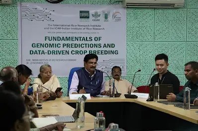 आईआरआरआई-आईसीएआर ने जीनोमिक पूर्वानुमान और डेटा-संचालित फसल प्रजनन पर कार्यशाला के माध्यम से आधुनिक पौध प्रजनन पर क्षमता का निर्माण किया