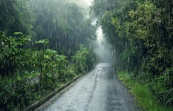 IMD ने इन राज्यों में बताई बारिश की संभावना, जानें क्या होगा आपके राज्य का मौसम?