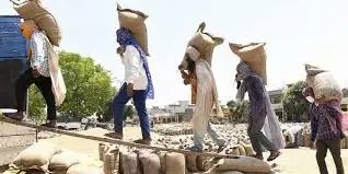 जनवरी 2025 से मासिक शहरी श्रम सर्वेक्षण, नमूने का आकार कम किया जाएगा