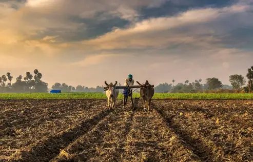 राजस्थान किसानों को लोन चुकाने के लिए मिली 30 जून तक की मौहलत, जानें क्या है खास?