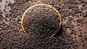 सरकार तिलहन उत्पादन बढ़ाने और आयात कम करने की योजना बना रही है