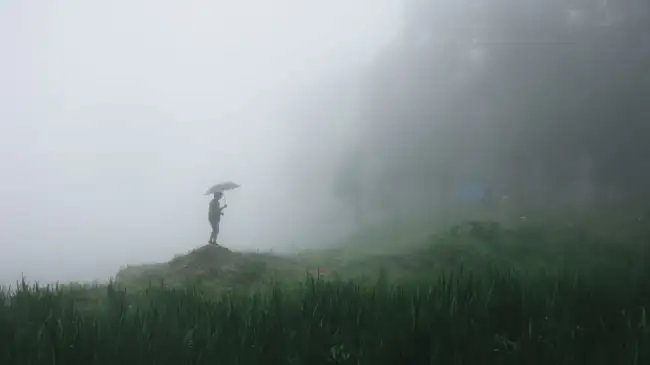 क्या समय पर मानसून की वापसी से खाद्य मुद्रास्फीति और ग्रामीण मांग का परिदृश्य उज्ज्वल होगा?