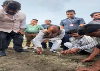 नकली बीज की शिकायत पर खुद खेत में उतरे केंद्रीय कृषि मंत्री शिवराज सिंह चौहान