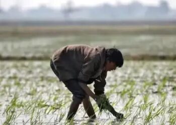 इन 4 राज्यों में किसानों के लिए बड़ी खुशखबरी, महज 1 रुपया में कराया जाएगा फसल बीमा