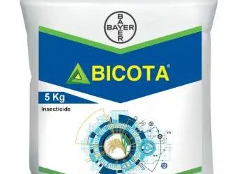 बेयर ने भारत में धान की खेती में स्टेम बोरर्स के प्रबंधन के लिए BICOTA लॉन्च किया