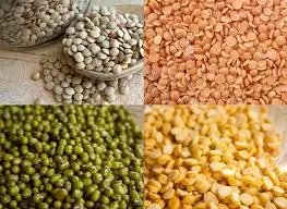 दालों की महंगाई कम होने से पहले मई तक ऊंची रह सकती है