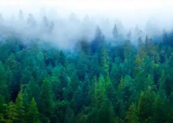 इन राज्यों में घटा तापमान, केरल और तमिलनाडु में भारी बारिश का अलर्ट!