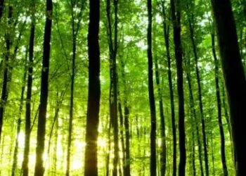 झारखंड में पुलिस ने मारे 2 नक्सली, भारी मात्रा में हथियार बरामद!