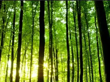 झारखंड में पुलिस ने मारे 2 नक्सली, भारी मात्रा में हथियार बरामद!