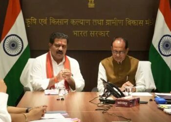 छत्तीसगढ़ को बड़ी सौगात: पीएम जनमन योजना के तहत 100 पुलों के निर्माण के लिए ₹375.71 करोड़ की मंजूरी