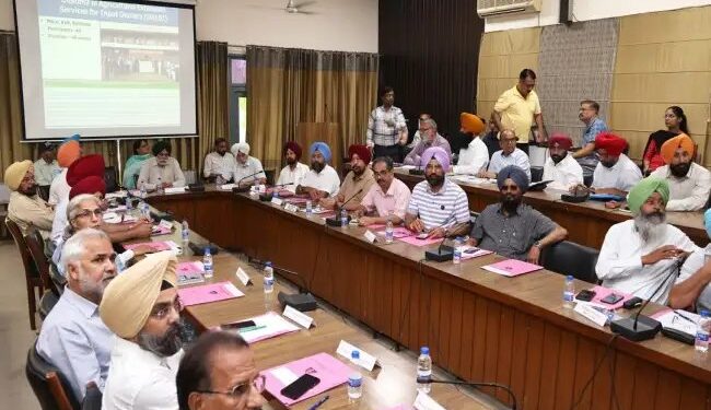 PAU ने किसानों को दी सलाह, 20 जून के बाद धान की रोपाई करें