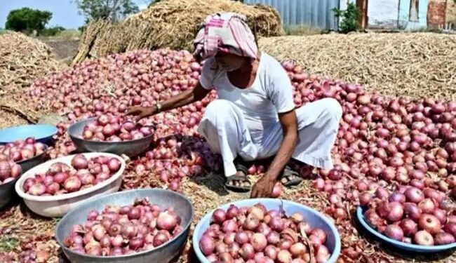 खुदरा- थोक दोनों बाजारों में प्याज की कीमतों में भारी गिरावट दर्ज, जानें कितना पहुंचा रेट