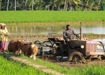 अमेठी में किसानों को मिल रही कृषि यंत्रों पर सब्सिडी, जल्द करें आवेदन