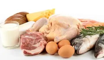 भारत में बढ़ा दूध-अंडा-मीट का उत्पादन, पढ़ें पूरी खबर..