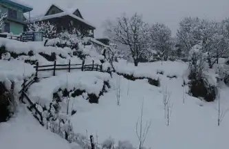 इन राज्यों में शीतलहर का अलर्ट, जानें क्या है ताजा मौसम अपडेट?