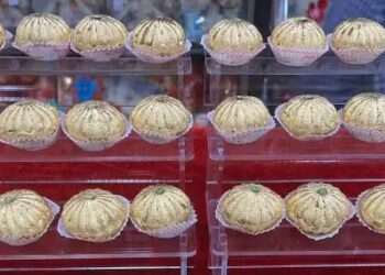 महाराष्ट्र में बिक रही 24 कैरेट सोने के वर्क वाली मिठाई, जानें कितनी है कीमत?