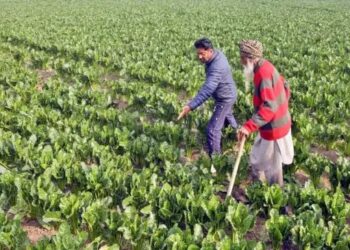 जैविक और जलवायु-कुशल खेती को बढ़ावा देने के लिए सरकार की व्यापक पहल