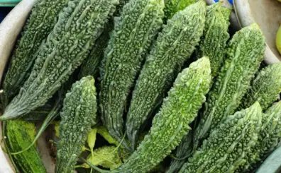 करेले के बीजों पर सरकार दे रही बंपर सब्सिडी, ऐसे खरीदें और करें खेती!