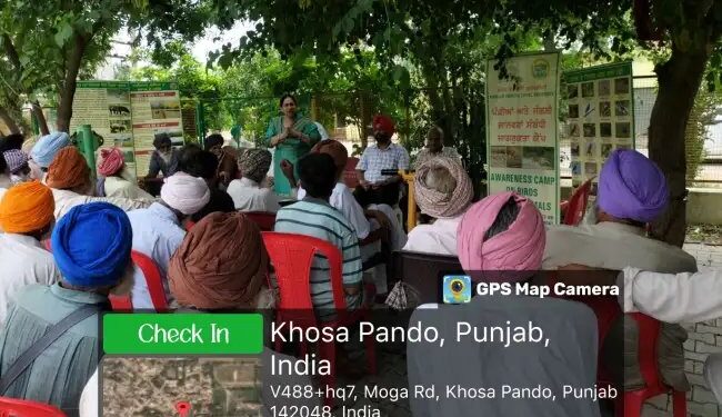 पंजाब एग्रीकल्चरल यूनिवर्सिटी ने किसानों को सिखाया पक्षी संरक्षण और कशेरुकी कीट प्रबंधन