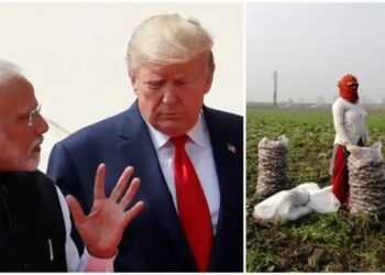 भारतीय कृषि रसायन निर्यात पर 50% अमेरिकी टैरिफ के प्रभाव का आकलन