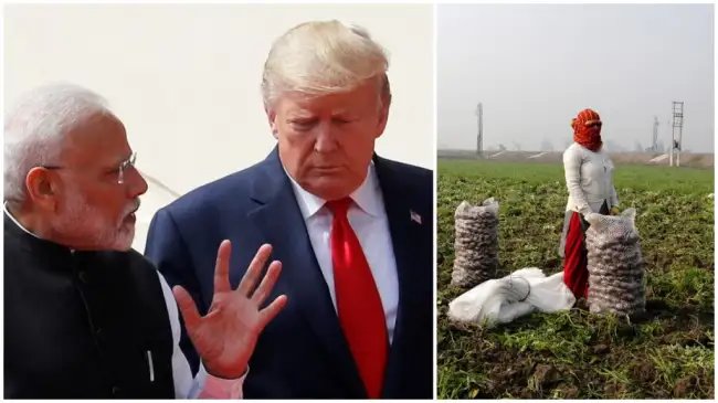 भारतीय कृषि रसायन निर्यात पर 50% अमेरिकी टैरिफ के प्रभाव का आकलन