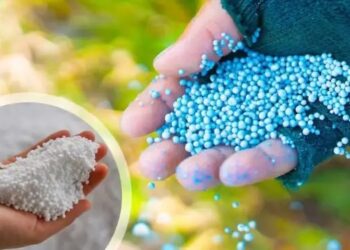 मिट्टी की उर्वरता और मानव पोषण के लिए खतरा बनता यूरिया, विशेषज्ञों ने दी चेतावनी