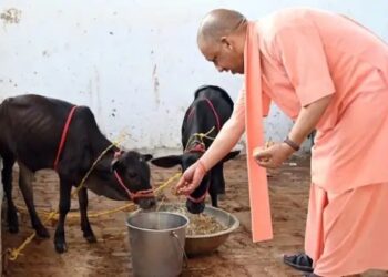 मेरठ की कान्हा गोशाला में लापरवाही पर सीएम योगी सख्त, FIR, निगरानी के लिए लगे CCTV