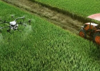 जलवायु परिवर्तन के कारण कृषि उपज में 25% की गिरावट आ सकती है: अध्ययन