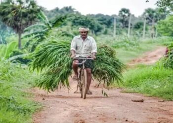 संरचनात्मक लाभ से 2035 तक भारत की कृषि 1.4 ट्रिलियन डॉलर तक पहुंच सकती है