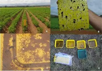 कृषि क्षेत्र की संरचनात्मक चुनौतियों से निपटने के लिए केंद्र सरकार ने उठाये ठोस कदम