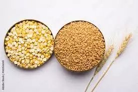 भारत की फिलहाल गेहूं आयात की कोई योजना नहीं: पीयूष गोयल