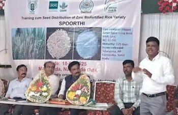 भारत में जिंक से भरपूर चावल की नई किस्म ‘स्पूरथी’ लॉन्च की गई