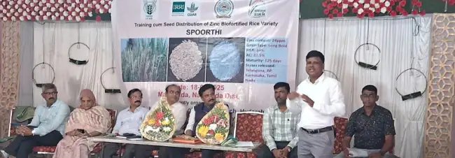 भारत में जिंक से भरपूर चावल की नई किस्म ‘स्पूरथी’ लॉन्च की गई