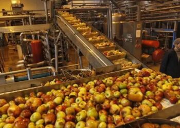 खाद्य प्रसंस्करण प्रौद्योगिकियों के विकास के लिए अनुसंधान एवं विकास (R&D) को मिल रहा नया बल