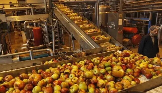 खाद्य प्रसंस्करण प्रौद्योगिकियों के विकास के लिए अनुसंधान एवं विकास (R&D) को मिल रहा नया बल