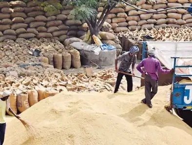 यूपी, पंजाब में धान की खरीद आज से शुरू, 2 दिनों में होगा भुगतान