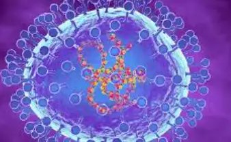 भारत में बढ़ रहा HMPV वायरस का खतरा, नागपुर में मिले 2 मरीज!