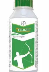 बायर ने धान की फसल के लिए नया फफूंदनाशक फेलुजीत लॉन्च किया