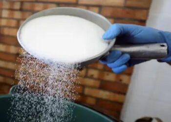 2025-26 में चीनी उत्पादन में उछाल आएगा: ISMA