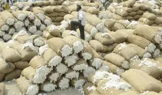 इस राज्य में हो रही MSP पर खरीद, जानें क्या हैं दाम?