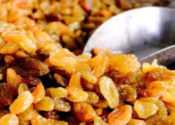 चीन से आ रही खराब किशमिश ने बढ़ाया संकट! डिप्टी CM पवार ने केंद्र से लगाई आयात रोकने की गुहार