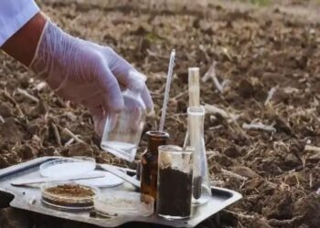 3 लाख मिट्टी नमूनों की जांच कराएगी सरकार, किसानों के उत्पादन में आएगी बढ़ोतरी