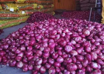 महाराष्ट्र के प्याज किसान संकट में: सीएम फडणवीस से विशेष बैठक की मांग