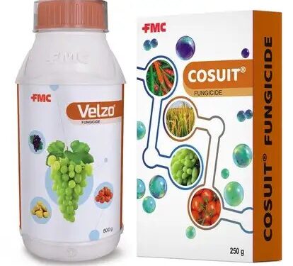 FMC India ने दो नए अभिनव उत्पाद, VELZO® और COSUIT® फफूंदनाशक लॉन्च किए