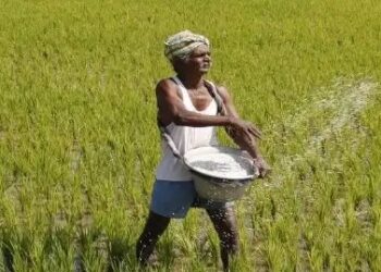 चीन के कारण भारतीय किसानों को हो रही DAP की किल्लत, जानें क्या है वजह ?