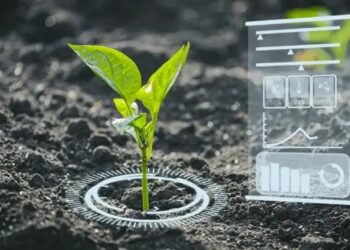 महाराष्ट्र में आएगी AI तकनीक, एग्रीकल्चर सेक्टर को बढ़ावा देने का विचार कर रही सरकार