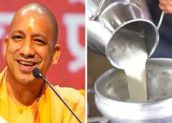 यूपी के दुग्ध उद्योग में ऐतिहासिक बदलाव: NDDB को सौंपी गई डेयरी यूनिट्स, किसानों को मिलेगा सीधा लाभ