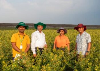 आईसीआरआईएसएटी ने दुनिया की पहली अत्यधिक गर्मी सहन करने वाली अरहर किस्म को विकसित किया